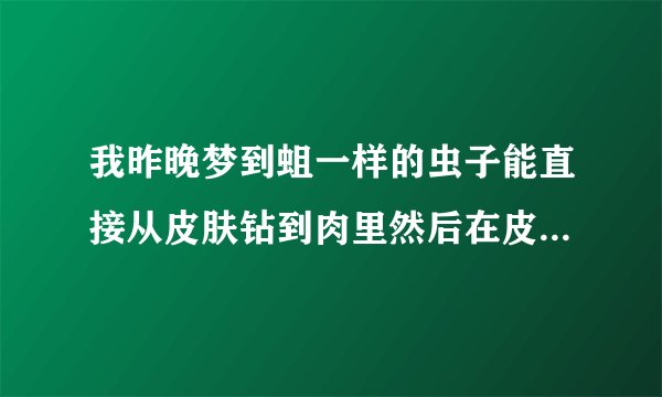 我昨晚梦到蛆一样的虫子能直接从皮肤钻到肉里然后在皮里爬啊爬啊爬~~？