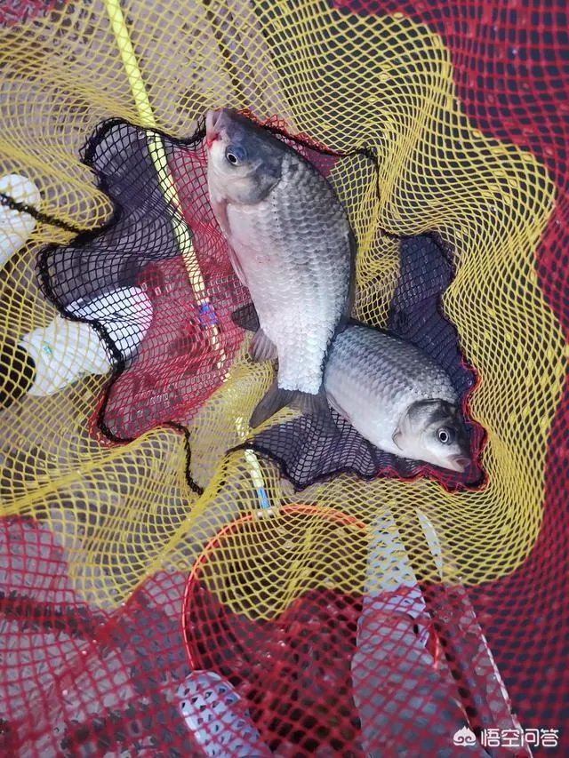 哪里有比较幽静的钓鱼的地方？