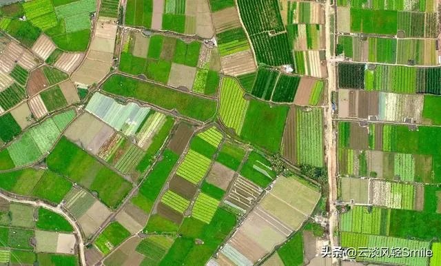 各地出现囤粮潮，粮荒是不是真的来了，大家怎么看？