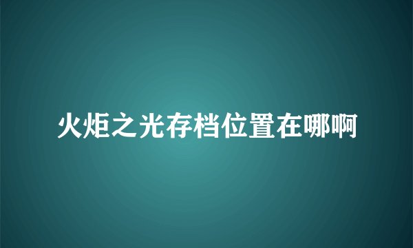 火炬之光存档位置在哪啊