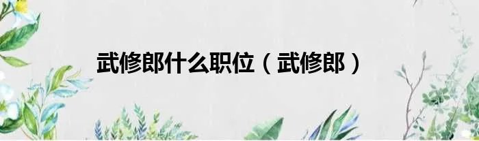 武修郎什么职位（武修郎）