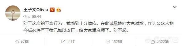 王子文高铁踩桌板是否应该被谴责？