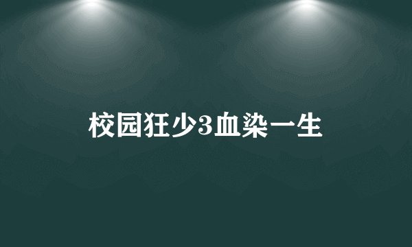 校园狂少3血染一生
