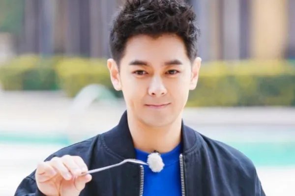 林志颖妻子陈若仪发文道歉，林志颖为什么没有反应呢？