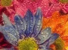 北京大红门服装批发市场几点关门？