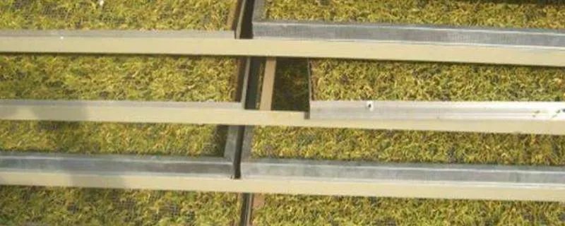 金银花烘干要多长时间