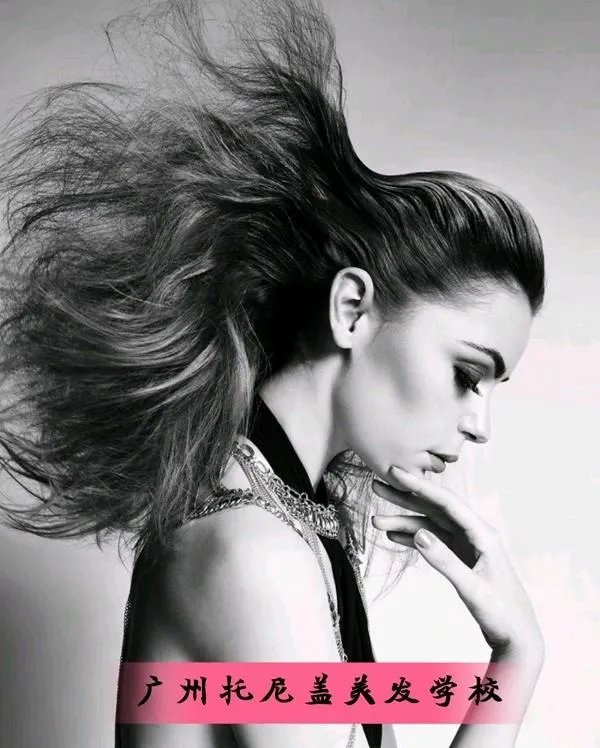中国十大美发培训学校是哪几家