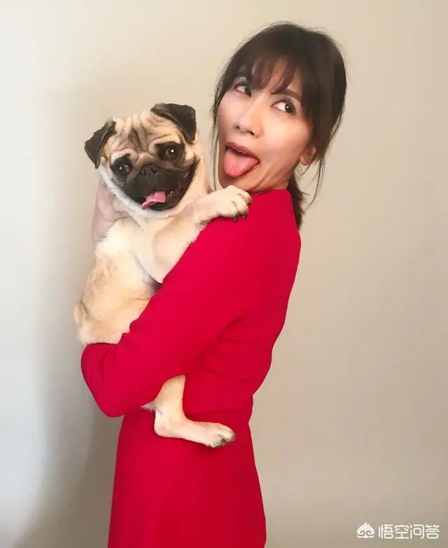 你怎么看贾静雯与修杰楷的爱情？