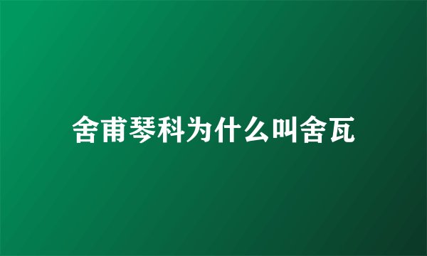 舍甫琴科为什么叫舍瓦