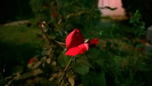 有何用? 诺基亚Lumia1020对焦辅助灯实测