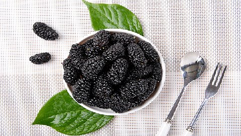 自制桑葚酒的危害