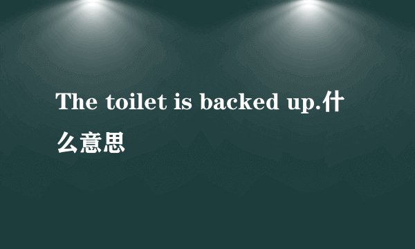 The toilet is backed up.什么意思