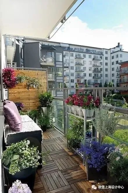 何必到处寻景，最美的景都在你家阳台上！