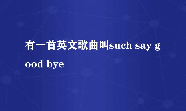 有一首英文歌曲叫such say good bye