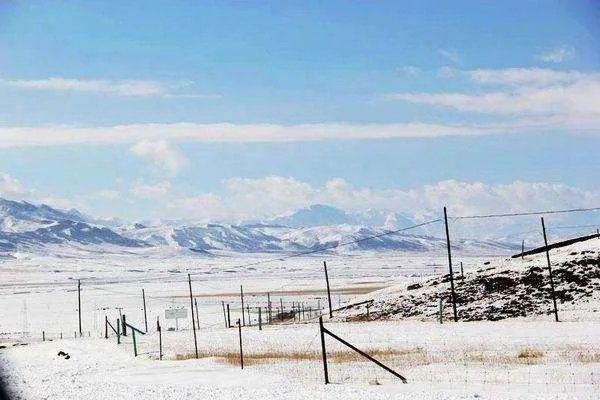 青海祁连山突降大雪，对当地游客有何影响？