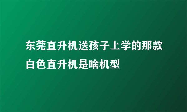 东莞直升机送孩子上学的那款白色直升机是啥机型