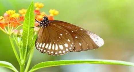 谁给推荐几个经典的破解版手游