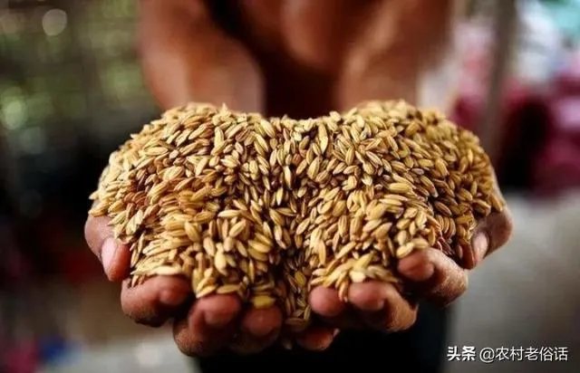 受疫情影响，已有国家禁止出口粮食，你怎么看？