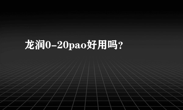 龙润0-20pao好用吗？