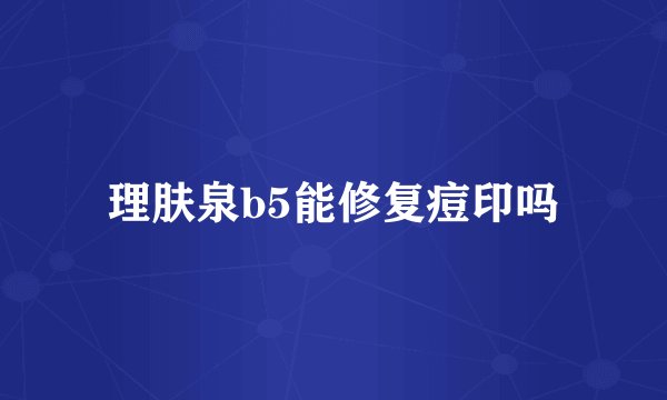 理肤泉b5能修复痘印吗