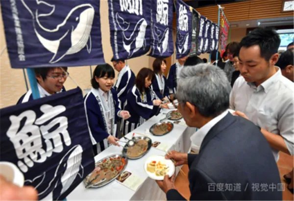 日本捕鲸团捕获1430吨鲸肉，是什么让他们大肆捕鲸？