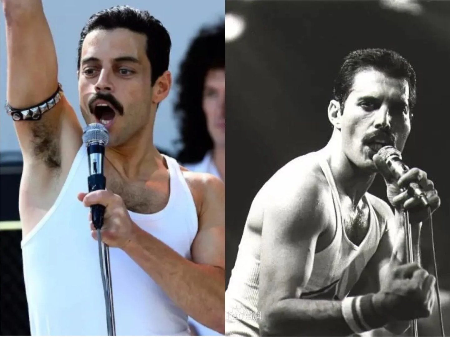 波西米亚狂想曲评价到底好还是坏？