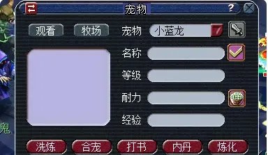 梦幻西游合宠攻略