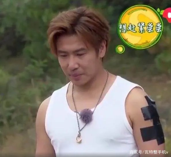 明星上综艺不能有纹身，欧弟胶带遮挡，林心如机智，包贝尔最彻，你同意吗？