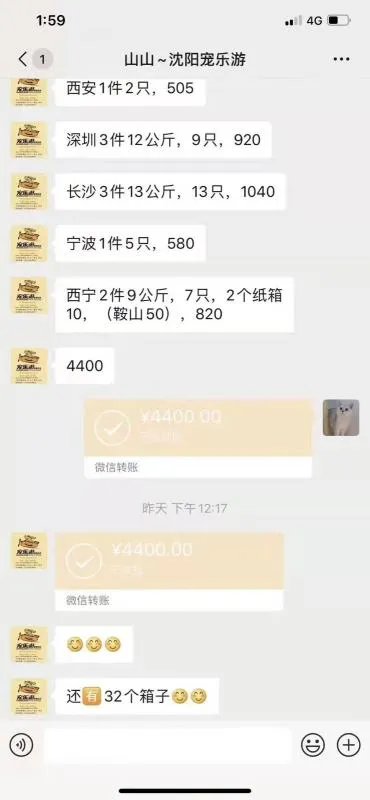 宠物用品货源在哪儿找