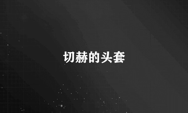 切赫的头套