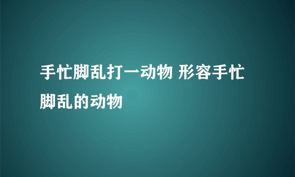 手忙脚乱打一动物 形容手忙脚乱的动物