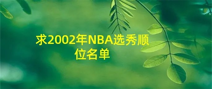 求2002年NBA选秀顺位名单