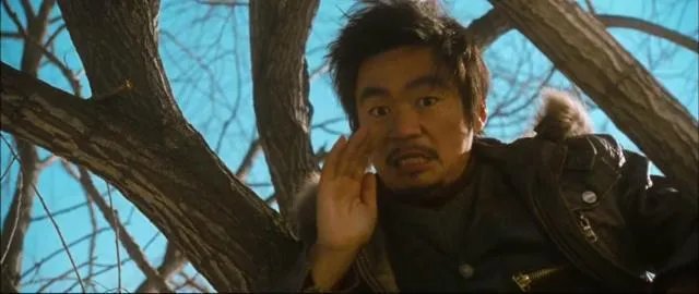 为什么王宝强的《Hello!树先生》如此极端，有的人奉为经典，有的人弃之如敝履？