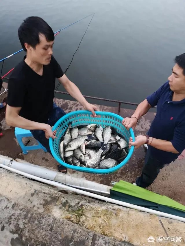 哪里有比较幽静的钓鱼的地方？