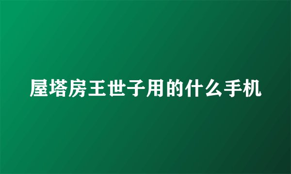 屋塔房王世子用的什么手机