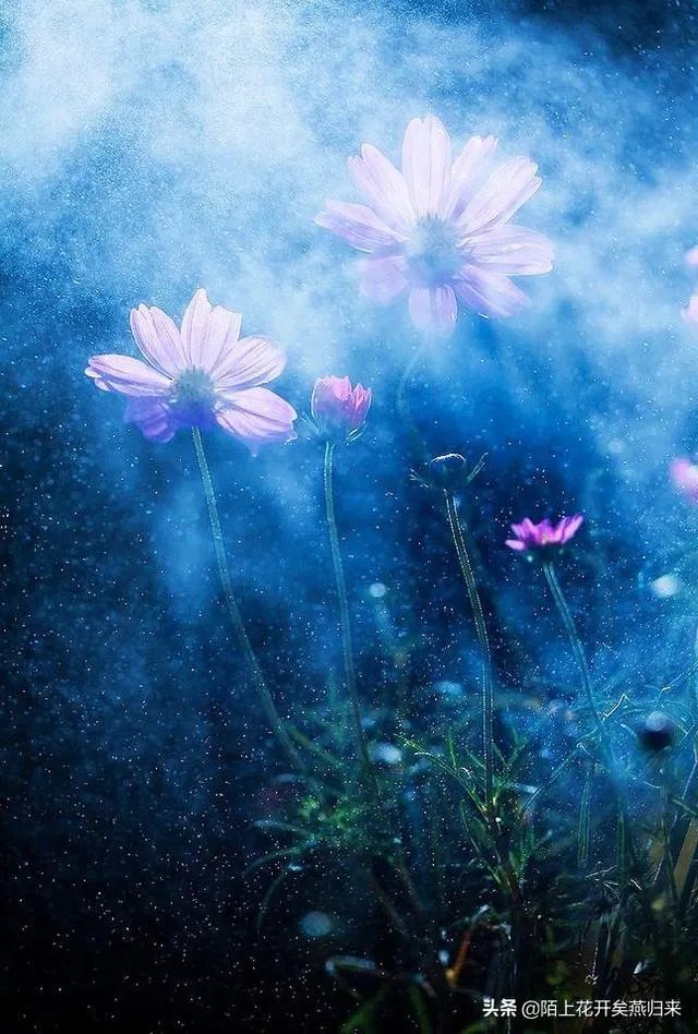 这世界最难过的事是什么？