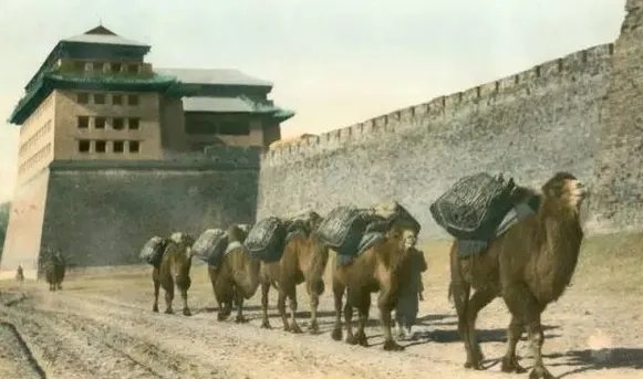 彩色摄影机是哪一年发明