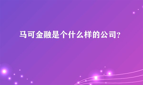 马可金融是个什么样的公司？