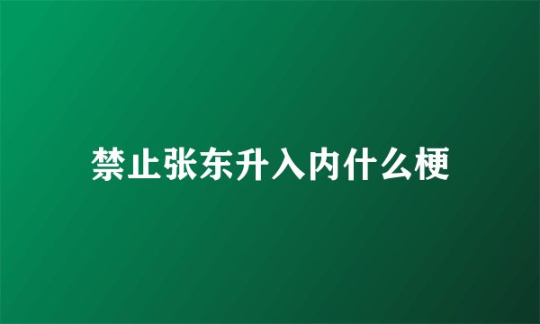 禁止张东升入内什么梗