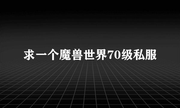 求一个魔兽世界70级私服