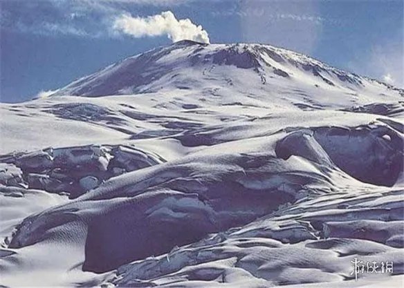 全球变暖或致北极熊在2100年灭绝 若不重视人类将灭绝