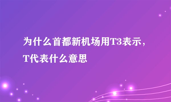 为什么首都新机场用T3表示，T代表什么意思