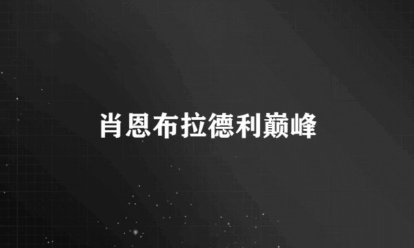 肖恩布拉德利巅峰