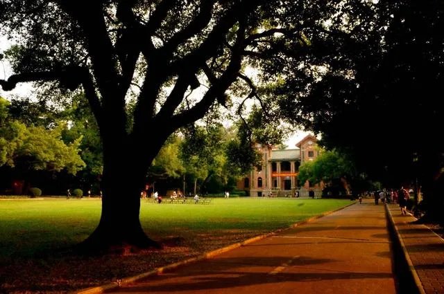 中山大学怎么样？