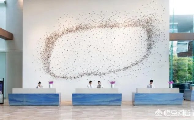 大东海区域的哪家酒店比较好？