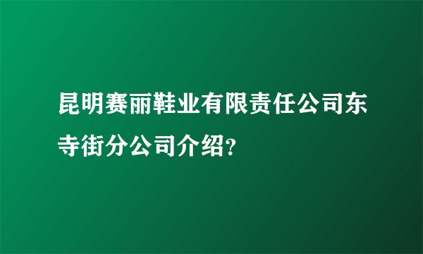 昆明赛丽鞋业有限责任公司东寺街分公司介绍？