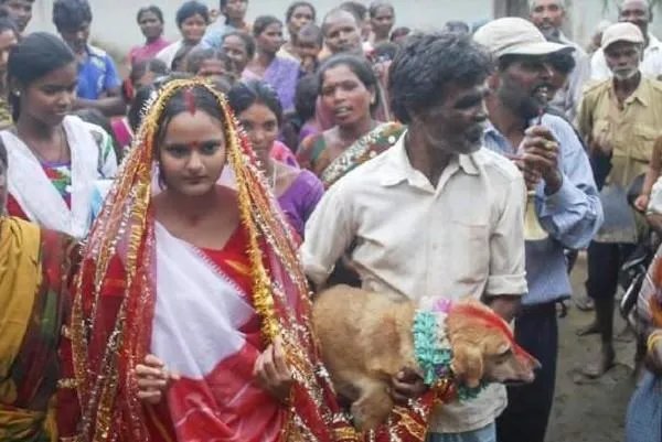 印度最奇葩部落，女子牙口不好就要与狗结婚，为何如此“奇葩”？