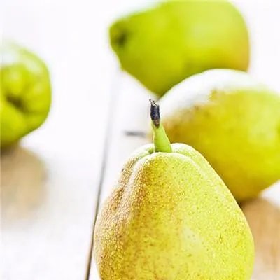 饮食养生与保健美容