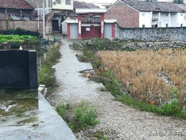 各地出现囤粮潮，粮荒是不是真的来了，大家怎么看？