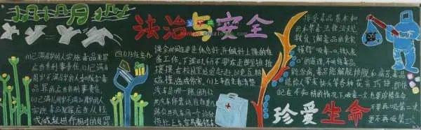 小学生法制安全知识